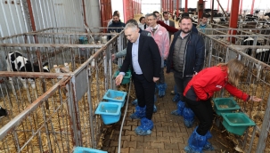 Öztürk,AB onaylı süt çiftliği sertifikalarına sahip çiftliği gezdi