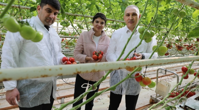 Öztürk,Jeotermal enerji ile ısıtılan teknolojik seraları inceledi