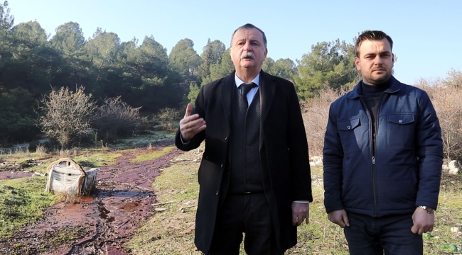 Saruhanlıda çevre katliamı