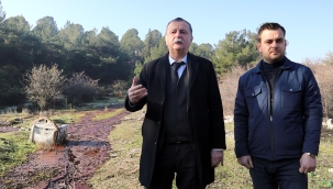 Saruhanlıda çevre katliamı