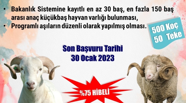 Sürü iyileştirme başvuruları başladı