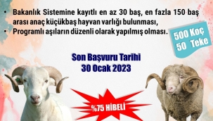 Sürü iyileştirme başvuruları başladı