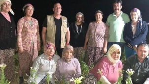 Tütün üreticisinin gözü açıklanacak fiyatta