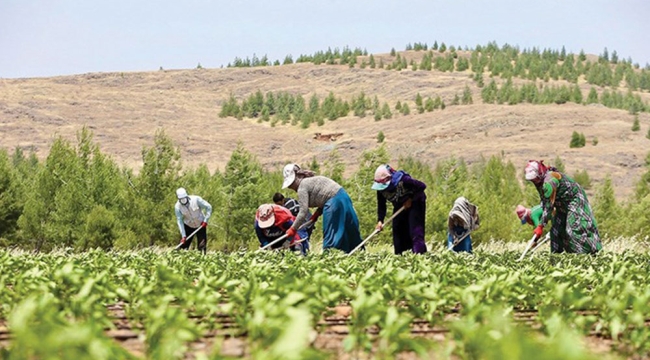 CKS kayıtları 8 mayısa uzatıldı
