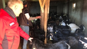 Hayvan sağlığı için üreticilerin yardımına koştu