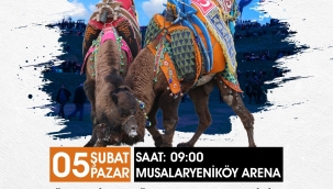 Ücretsiz Musalaryeniköy deva güreşleri 5 şubatta