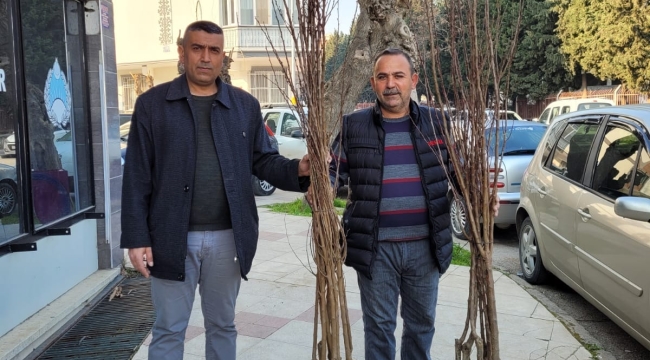 Üreticilere meyve fidanı dağıtıldı