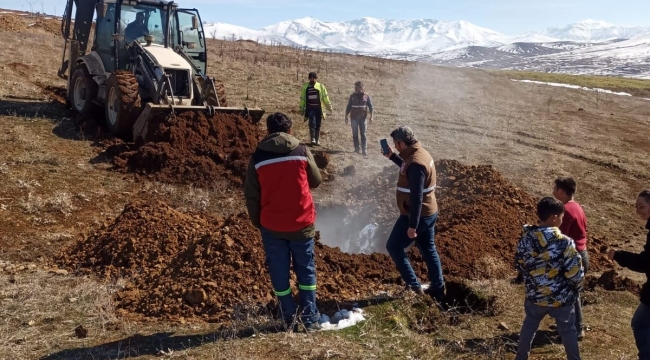 Veterinerler deprem bölgesinde ölen hayvanları gömüyor