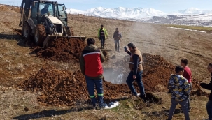 Veterinerler deprem bölgesinde ölen hayvanları gömüyor