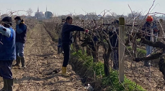 Yeni sezon öncesi tarım danışmanları saha indi
