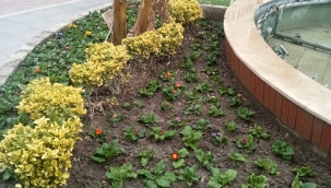 Başkan Bilgin çalışıyor Saruhanlı güzelleşiyor