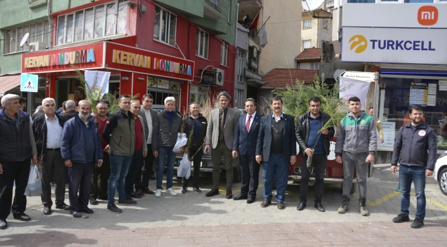 Demirci'de vatandaşlara servi, dut ve çam fıstığı fidanı dağıtıldı