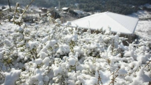 İzmir'de kar yağdı