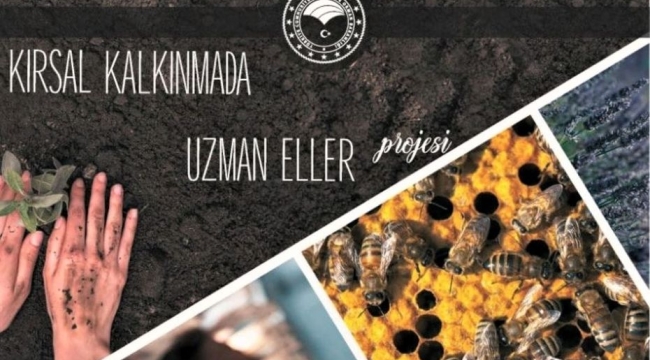 Kırsal kalkınmada uzman eller projesi başvuruları başladı