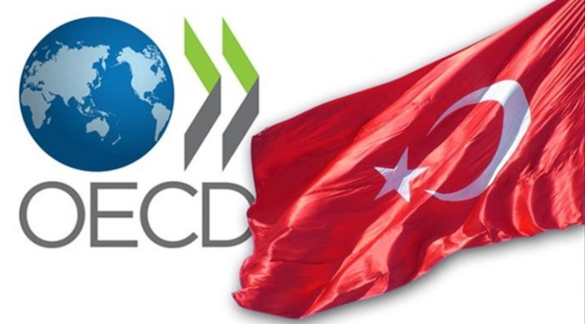 OECD'den endişelendiren Türkiye raporu