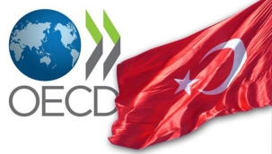 OECD'den endişelendiren Türkiye raporu