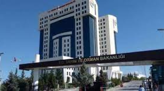 Tarım bakanlığından 500 bin hayvan ithalatı duyurusu