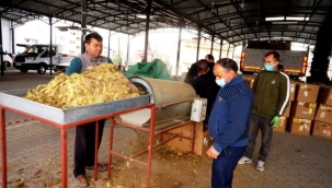 Tütün üreticilerinin 2 aylık fiyat direnişi kırıldı