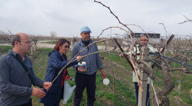  Üzüm platformu arazi kontrolü ve üretici ziyaretleri sürüyor