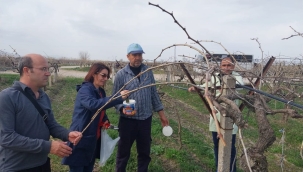  Üzüm platformu arazi kontrolü ve üretici ziyaretleri sürüyor