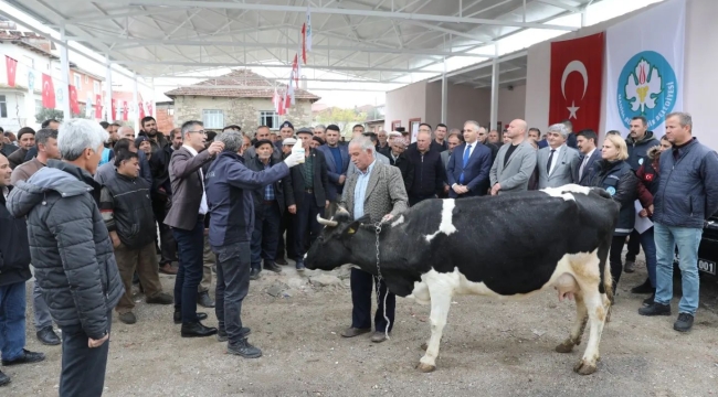 5 ilçede hayvanlara parazitlerden koruma ilaçlaması yapılacak