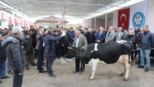 5 ilçede hayvanlara parazitlerden koruma ilaçlaması yapılacak