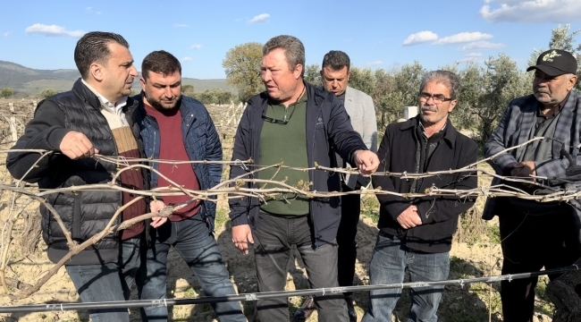 CHP'li Başevirgen'25 bin ailenin bağında üzüm olmayacak'