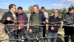 CHP'li Başevirgen'25 bin ailenin bağında üzüm olmayacak'