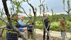 Müdür Öztürk,meyve bahçelerini gezdi, üreticilerle buluştu