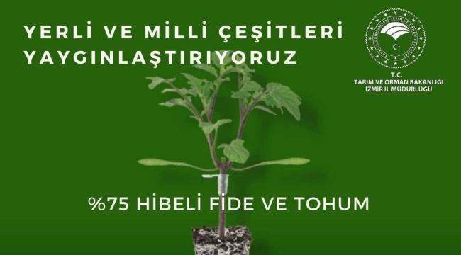 Yerli ve milli çeşitler 18 ilçede yaygınlaştırılıyor