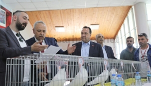 11.güvercin festivali yapıldı