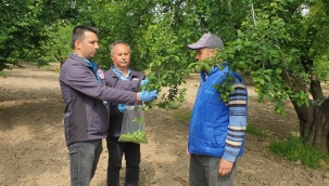 13 üründen 1.325 numune alınacak