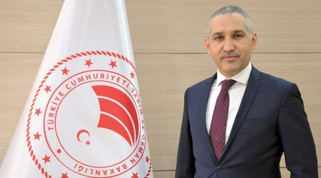 Aralarında Türkiye'ninde bulunduğu 115 ülkede Dünya arı günü kutlanıyor