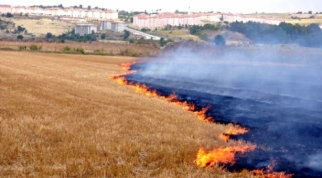 Başkan Altındağ'dan çiftçilere anız yakma uyarısı