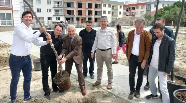 Beyler parkı ağaçlandırılıyor