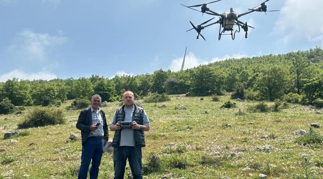 Kırkağaç'ta drone ile çekirge avı