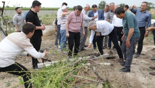 Müdür Öztürk'ten üreticilere tarım sigortası çağrısı