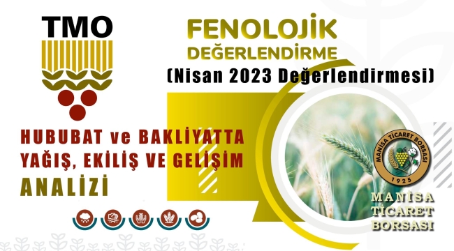 Rapor yayınlandı