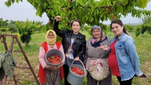 Tarım danışmanları çiftçilerin yardımına koşuyor