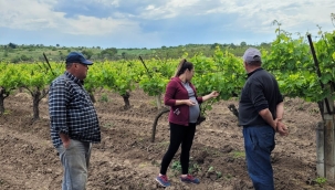 Tarım danışmanları üreticilerin yanında