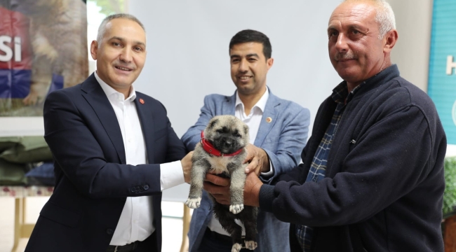 Üreticilere kangal cinsi köpek desteği