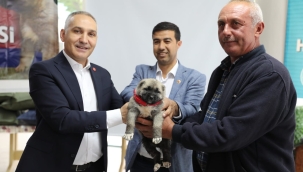 Üreticilere kangal cinsi köpek desteği