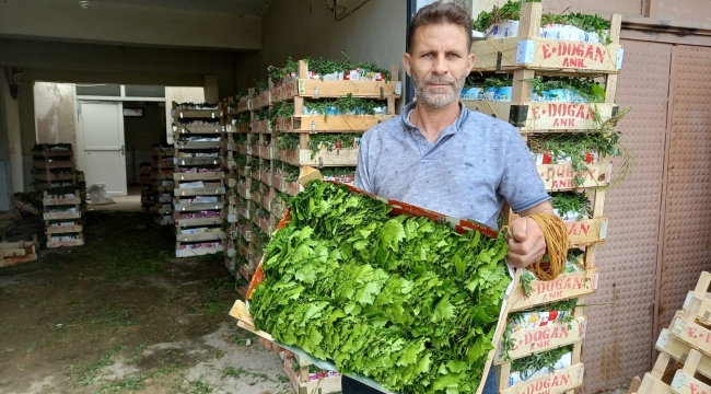 Üretici fiyattan menmun