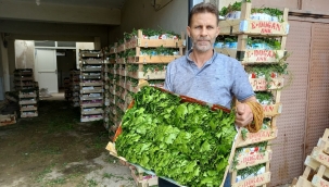 Üretici fiyattan menmun