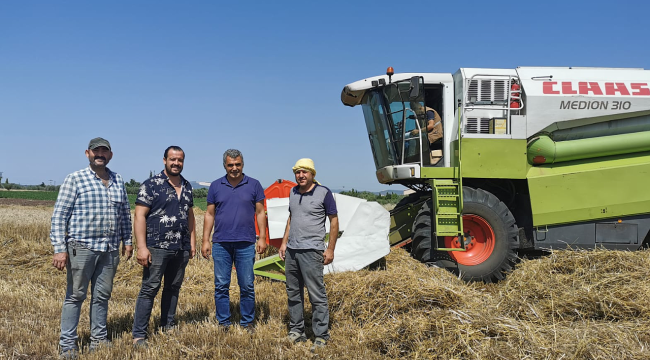 Akhisar'da buğday hasadı başladı