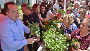 Akhisar'da evler çiçek açtı