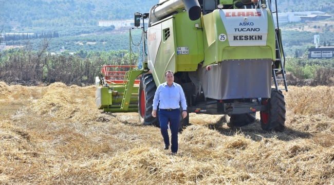 Ata tohumu buğday hasadı yapıldı