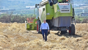 Ata tohumu buğday hasadı yapıldı