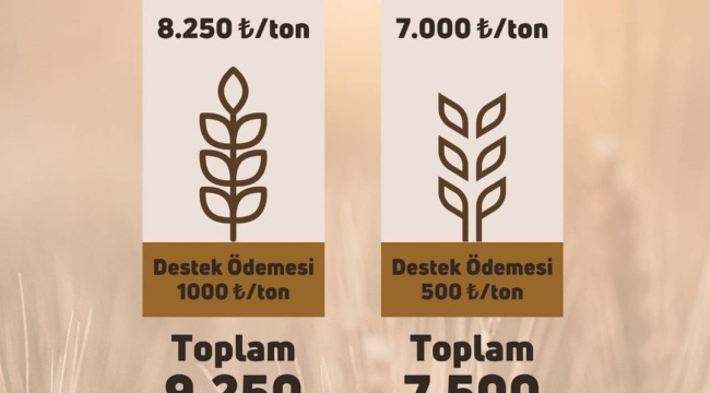 Buğday ve arpa alım fyatları açıklandı