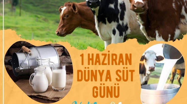 Dünya süt günü kulanıyor